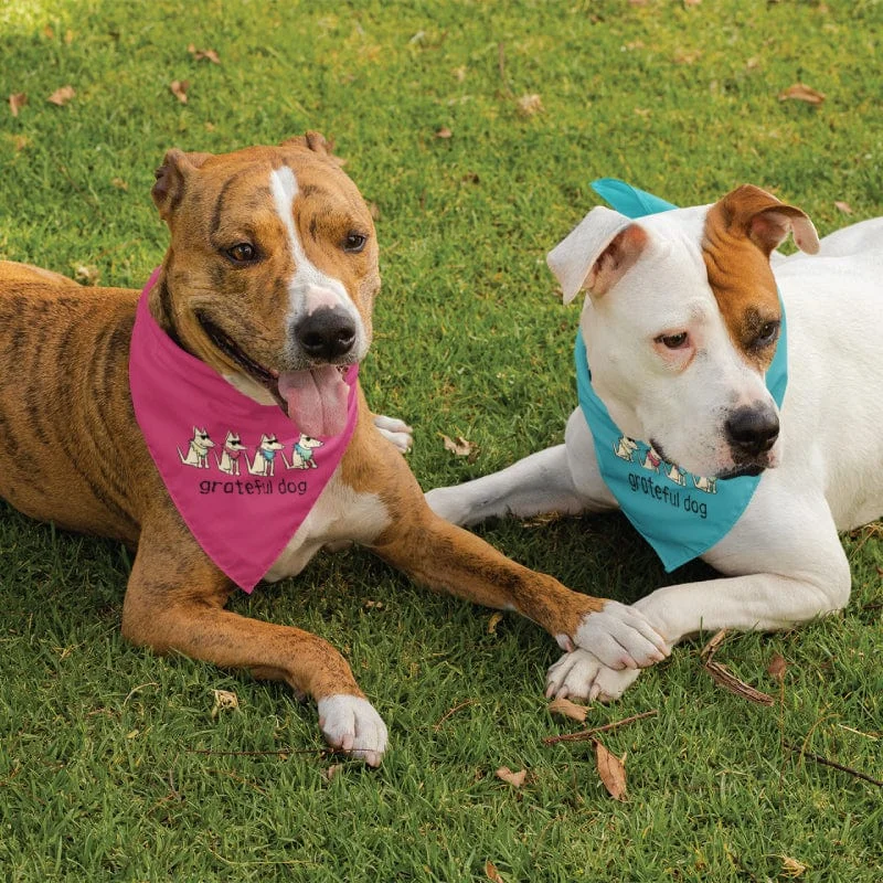 Grateful Dog - Doggie Bandana