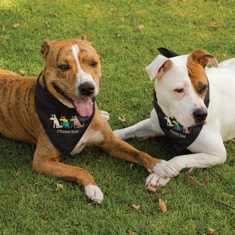 Choose Love - Doggie Bandana