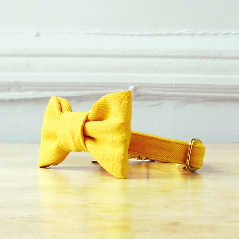 Sunny Bowtie Collar