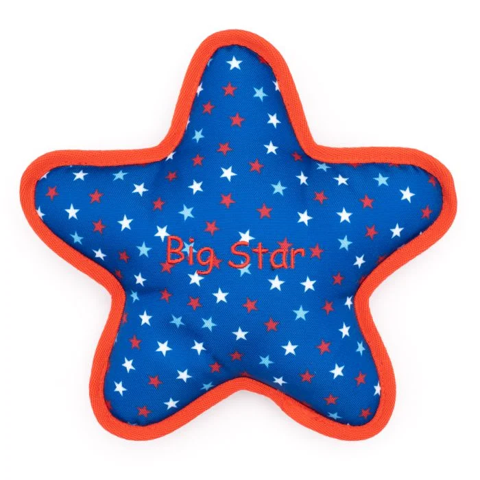 The Worthy Dog Big Star Plush Dog Toy